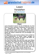 Pferd - Sachtext.pdf